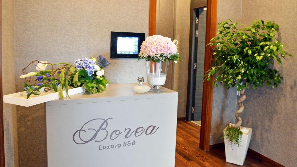 بيسكارا Borea Luxury B&B المظهر الخارجي الصورة